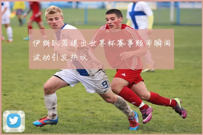 伊朗队若退出世界杯赛事赔率瞬间波动引发热议
