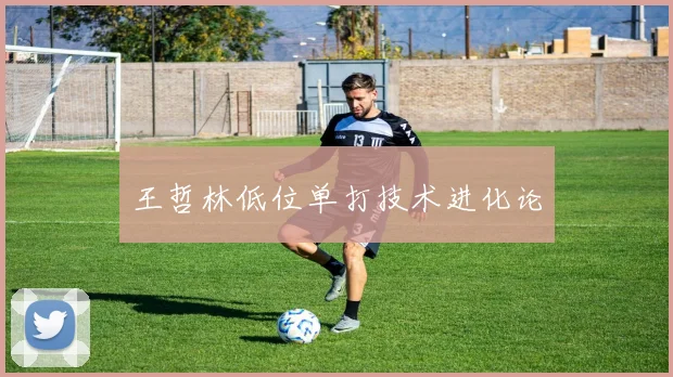 王哲林低位单打技术进化论
