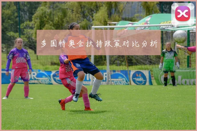 多国特奥会扶持政策对比分析