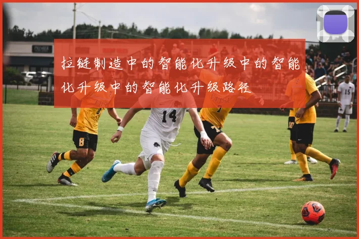 拉链制造中的智能化升级中的智能化升级中的智能化升级路径