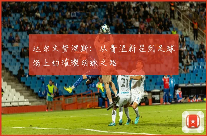 达尔文努涅斯：从青涩新星到足球场上的璀璨明珠之路