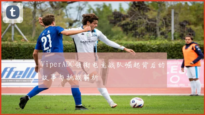 ViperADC领衔电竞战队崛起背后的故事与挑战解析