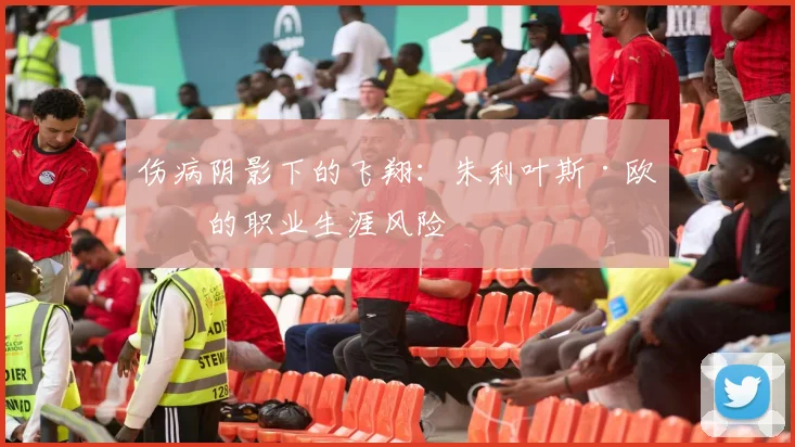 伤病阴影下的飞翔：朱利叶斯·欧文的职业生涯风险