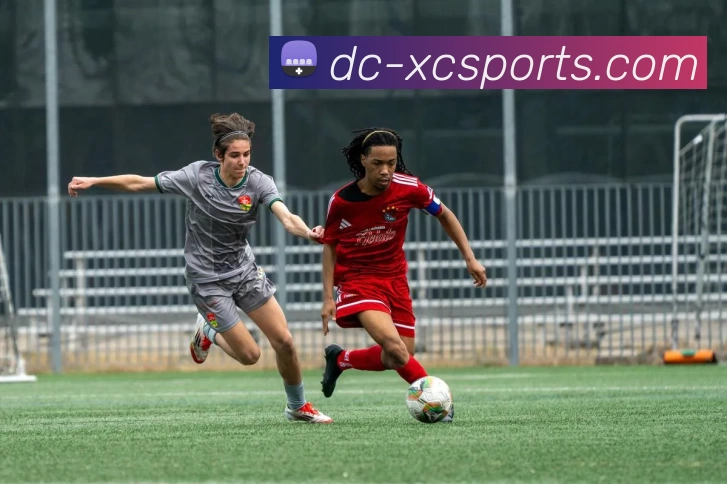 App Interface Preview